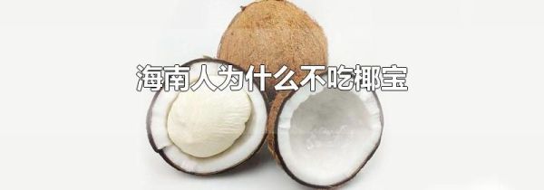 海南人为什么不吃椰宝