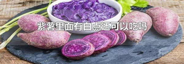紫薯里面有白点还可以吃吗