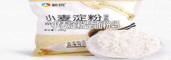小麦淀粉是面粉吗