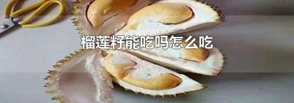榴莲籽能吃吗怎么吃