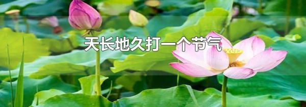 天长地久打一个节气