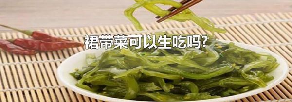 裙带菜可以生吃吗?