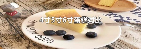 4寸5寸6寸蛋糕对比
