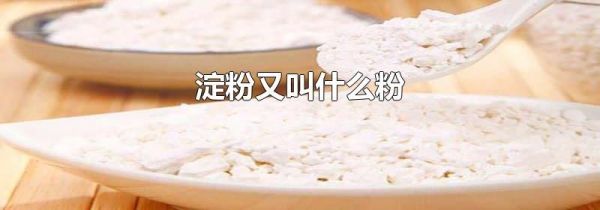 淀粉又叫什么粉