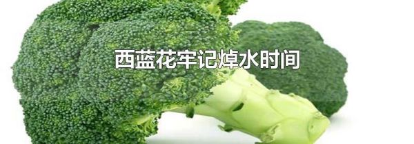 西蓝花牢记焯水时间