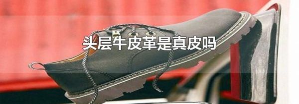 头层牛皮革是真皮吗