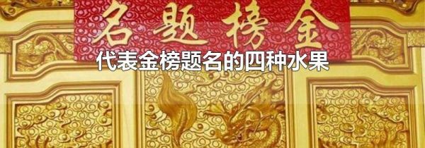 代表金榜题名的四种水果