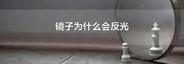 镜子为什么会反光