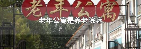 老年公寓是养老院嘛