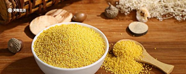 小米是什么 小米指什么