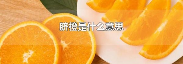 脐橙是什么意思