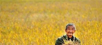 丰收节是几月几日？