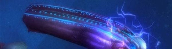 电鳗为什么会放电？