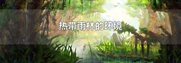 热带雨林的环境