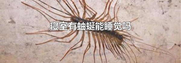 寝室有蚰蜒能睡觉吗