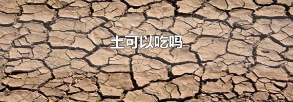 土可以吃吗
