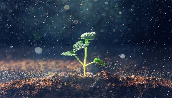 暴雨在哪种云层中形成 暴雨常在哪种云团中形成