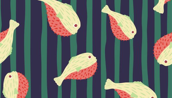 海里的河豚叫什么名字 在海里的河豚叫什么