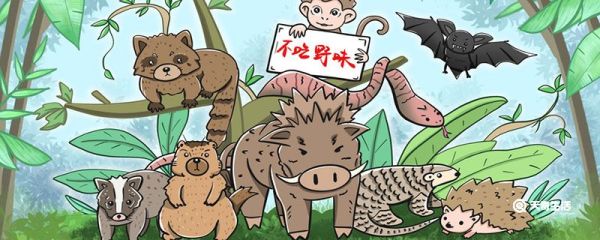 为什么保护野生动物很重要 为什么要保护野生动物的原因,保护野生动物的重要性