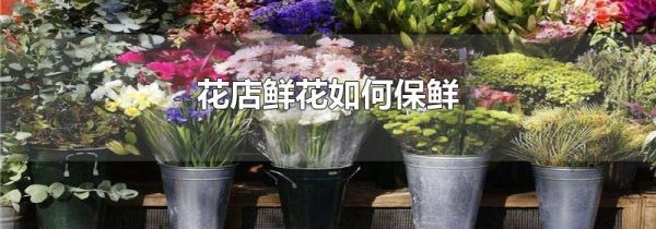 花店鲜花如何保鲜
