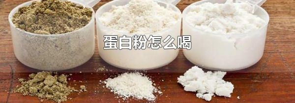 蛋白粉怎么喝