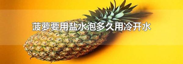 菠萝要用盐水泡多久用冷开水
