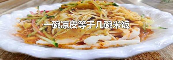 一碗凉皮等于几碗米饭
