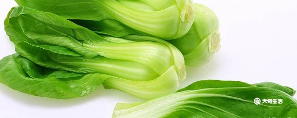 上海青怎么保存 上海青如何保存