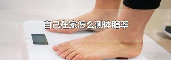 自己在家怎么测体脂率
