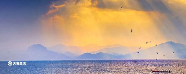 雾和雾霾的区别 雾和雾霾的区别在哪里