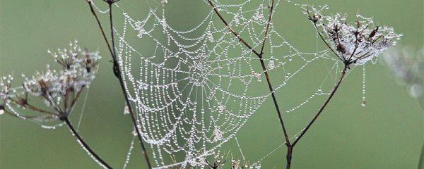 白露天气特征 白露各地域的天气变化