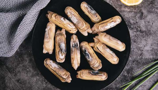 蛏子是什么 蛏子是什么东西