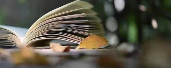 腰没了是什么意思网络用语 腰没了是什么意思