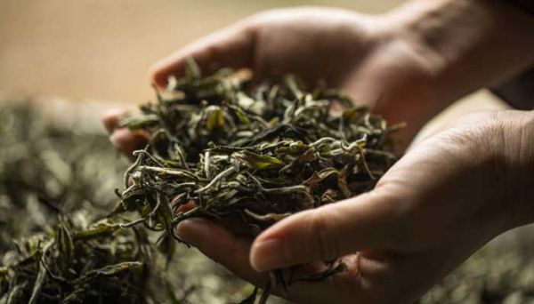 茶的别称雅号 茶的别称雅号有哪些