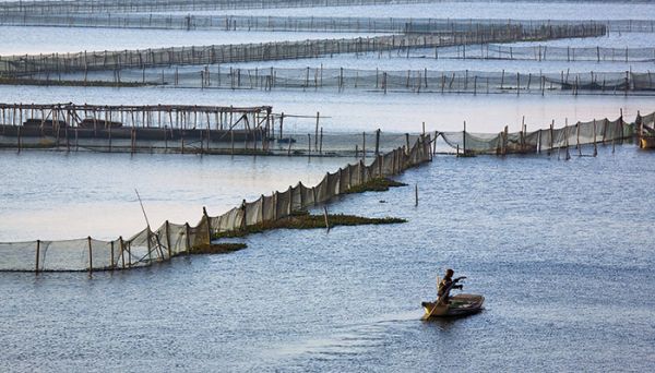阳澄湖在哪里 阳澄湖在什么地方