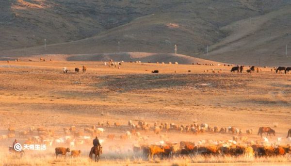吐鲁番属于什么地区 吐鲁番是什么地区