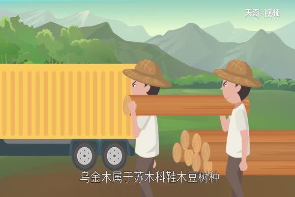 乌金木家具的优缺点 乌金木家具有什么好