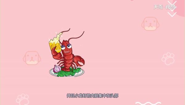 小龙虾是发物吗 小龙虾是不是发物呢