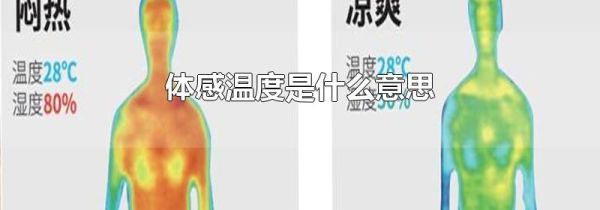 体感温度是什么意思