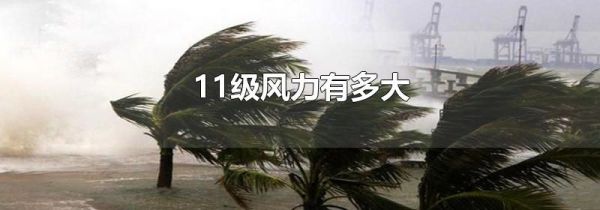 11级风力有多大