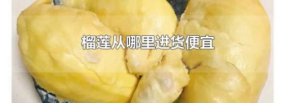 榴莲从哪里进货便宜
