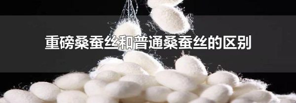 重磅桑蚕丝和普通桑蚕丝的区别