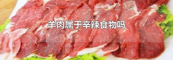 羊肉属于辛辣食物吗