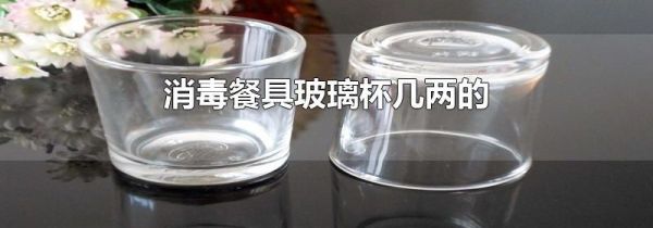 消毒餐具玻璃杯几两的
