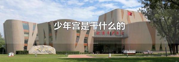 少年宫是干什么的