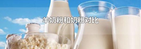 羊奶粉和奶粉对比