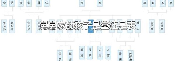 舅舅家的孩子是堂还是表