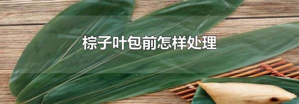 棕子叶包前怎样处理