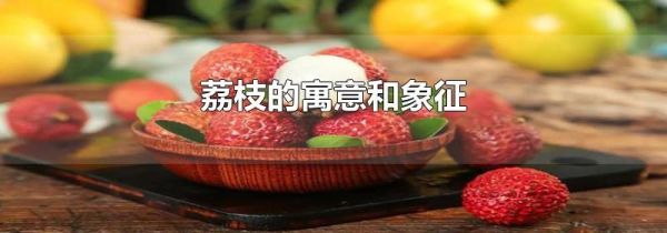 荔枝的寓意和象征
