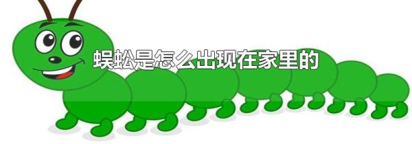 蜈蚣是怎么出现在家里的